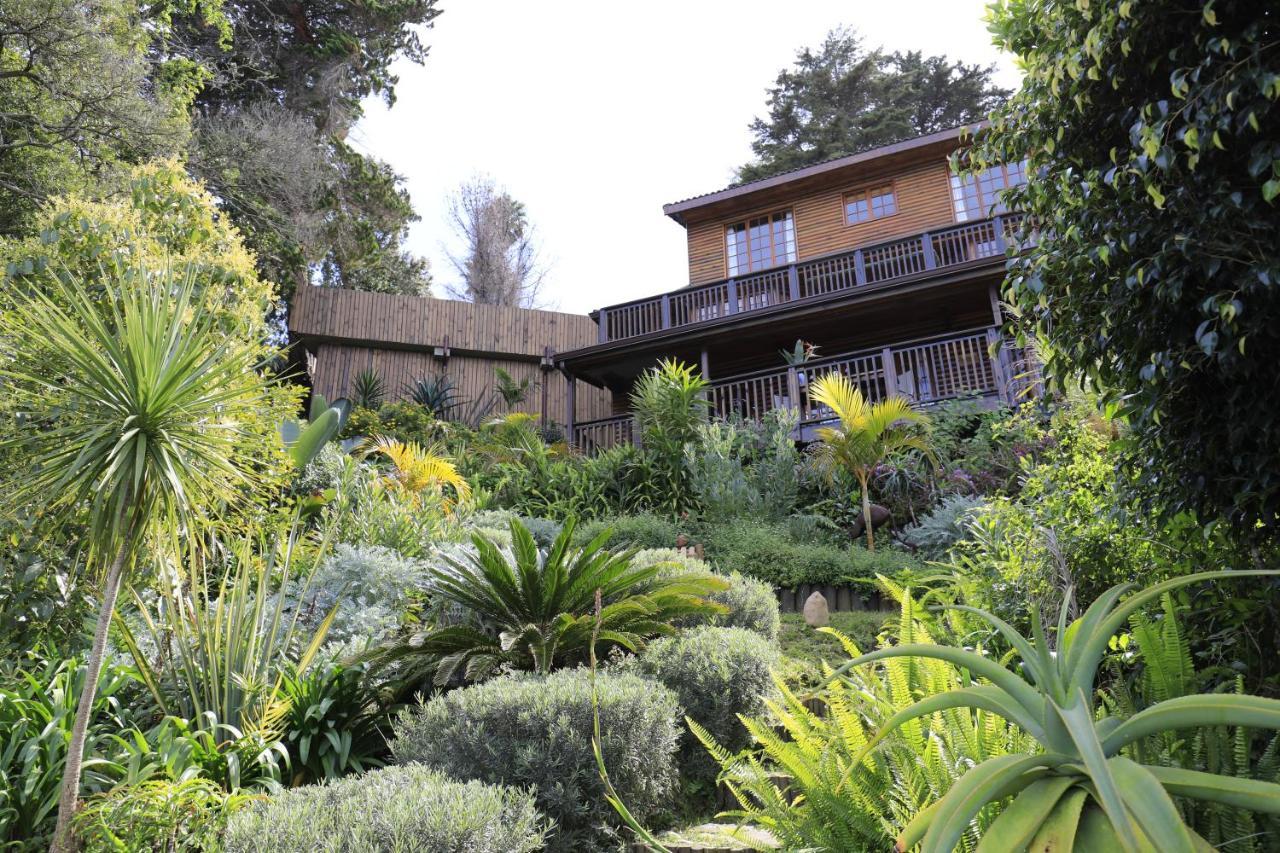 Big Tree House Lodge Книсна Екстер'єр фото