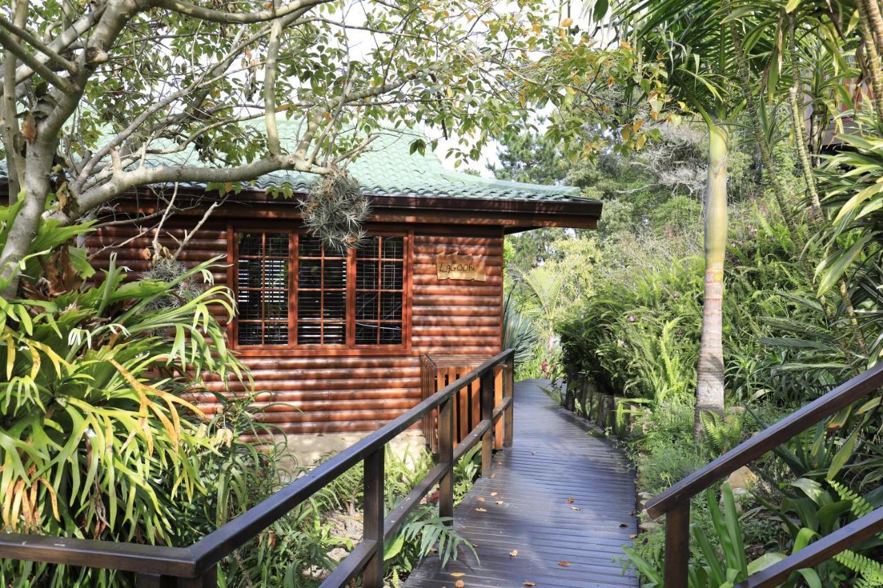 Big Tree House Lodge Книсна Екстер'єр фото